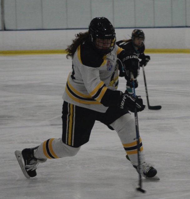 One Small Step for a Student: A Huge Leap for Norwin Girls Hockey