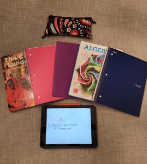 Homework: stress or success?