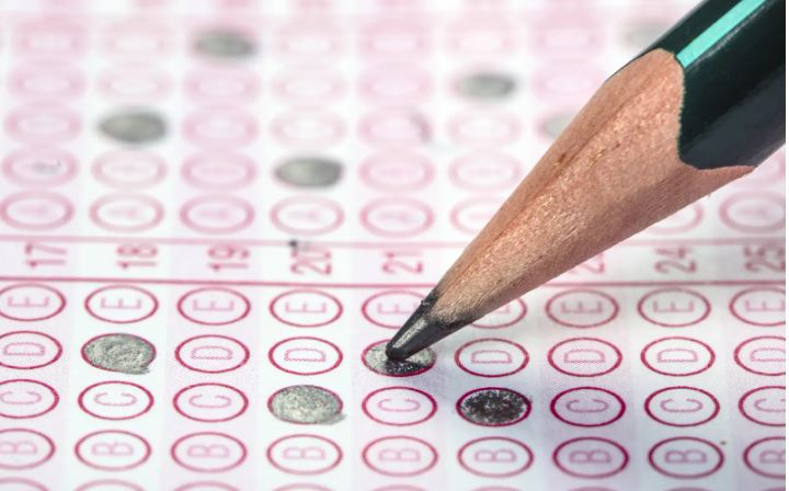 Are standardized tests an artifact?