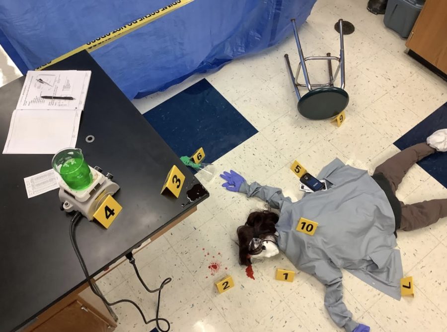 Set up of a crime scene investigation for Principles of Biomedical Sciences Forensic Unit.