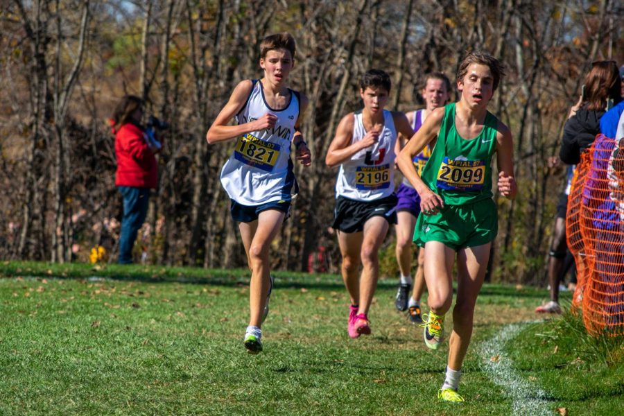 Sophomore Thomas Gaydos, pictured here during the AAA boys race at the WPIAL Championships, will be an integral part of the team next year.