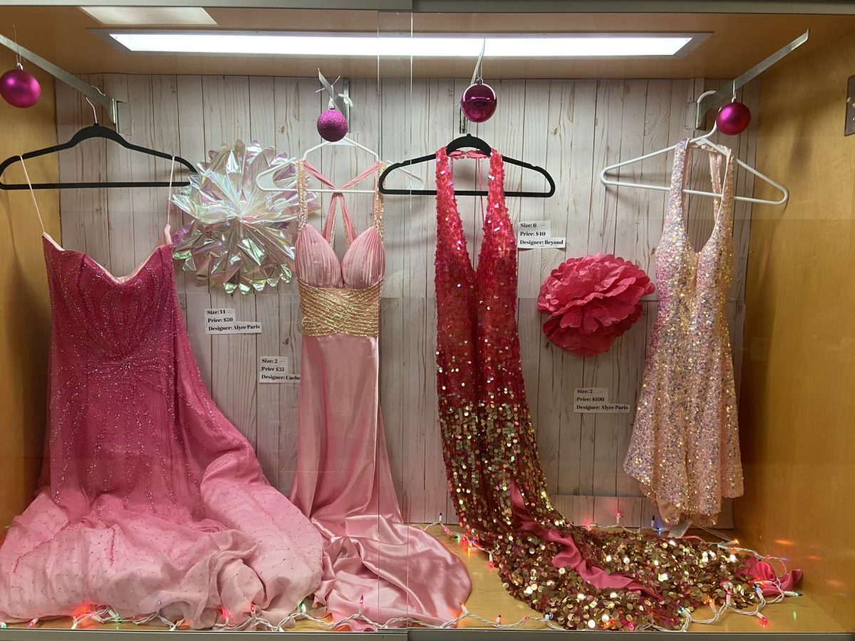 Display cases in the halls of Norwin High School of dresses for sale. 