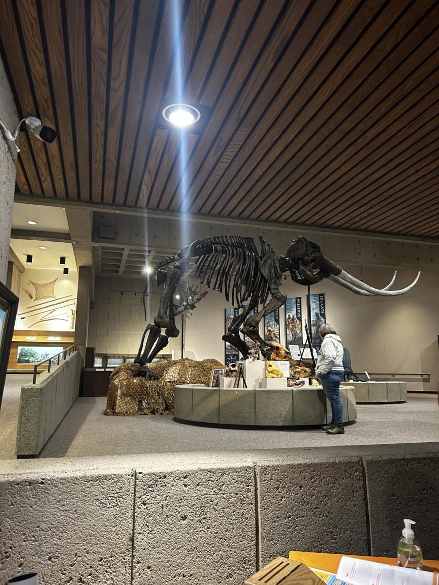 A large fossil statue of a mammoth stands in the museum in West Virginia. 