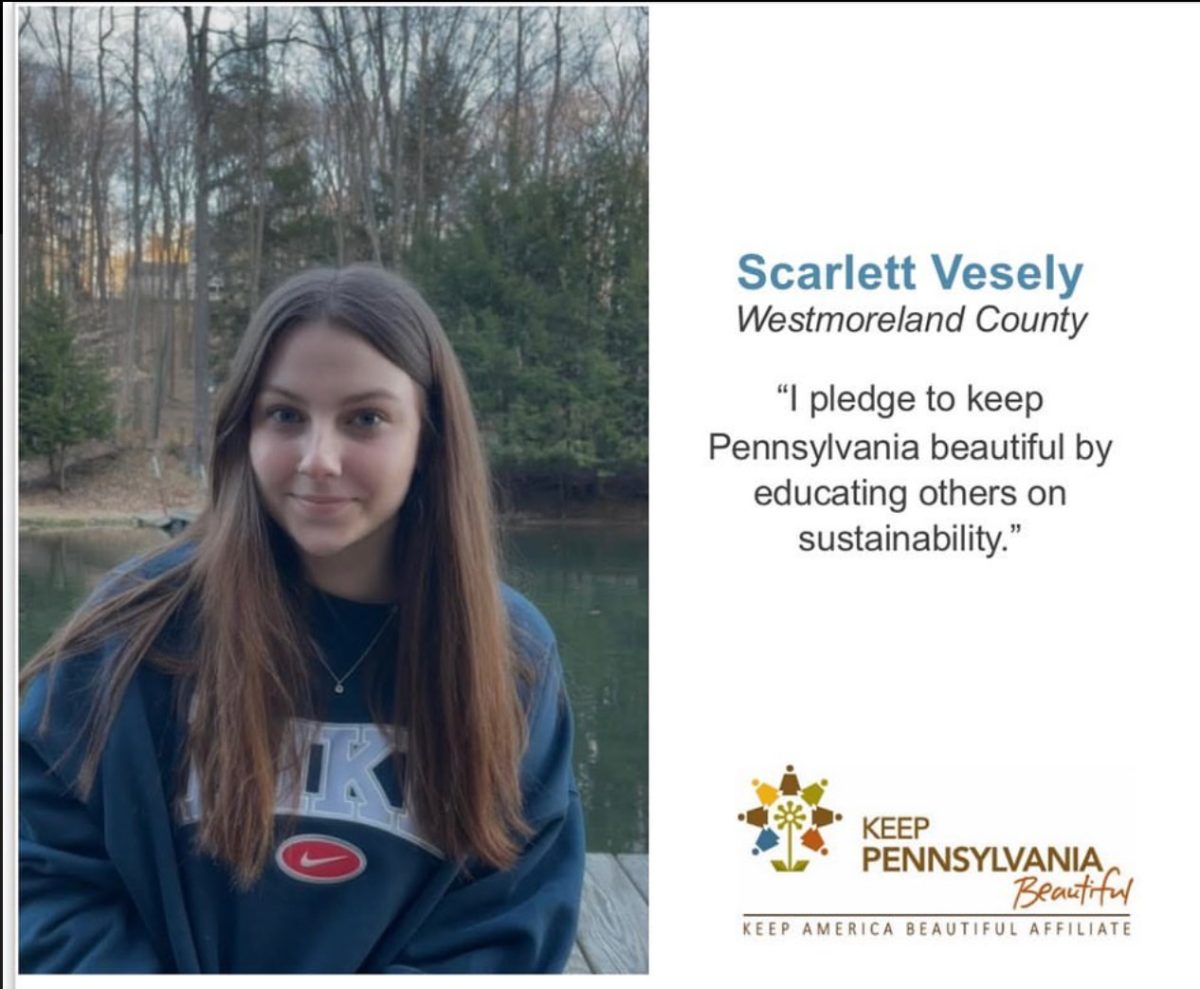 Norwin student Scarlett Vesely was selected to be a member of the Young Ambassadors of Pennsylvania program 