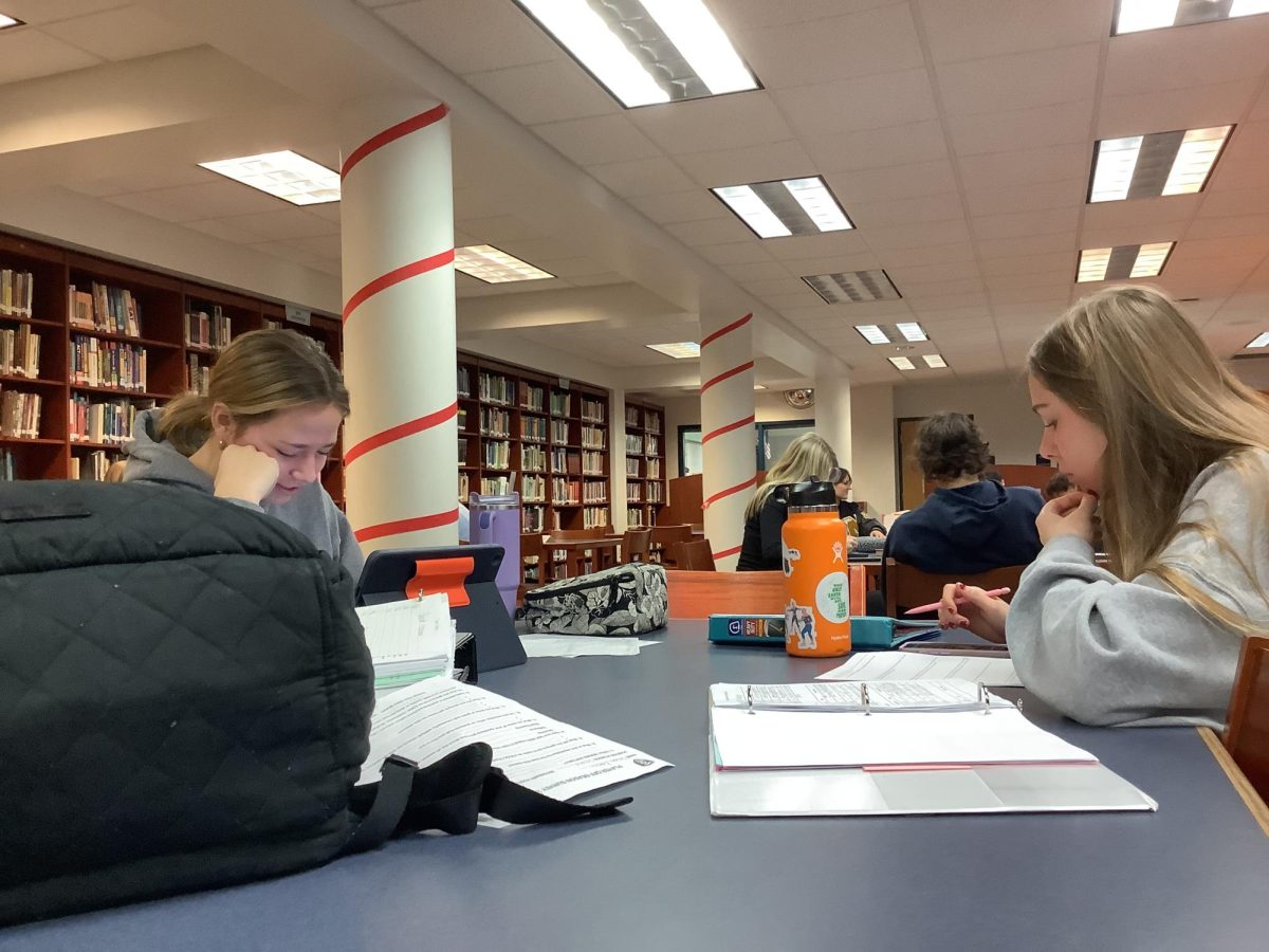 Chloe+Ackerman+and+Karina+Karadus+study+in+the+2nd+period+library+study+hall.+Students+can+go+to+the+library+to+take+their+study+halls+for+a+more+collaborative+environment.+