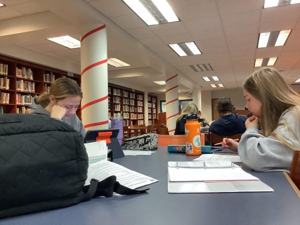 Chloe Ackerman and Karina Karadus study in the 2nd period library study hall. Students can go to the library to take their study halls for a more collaborative environment. 
