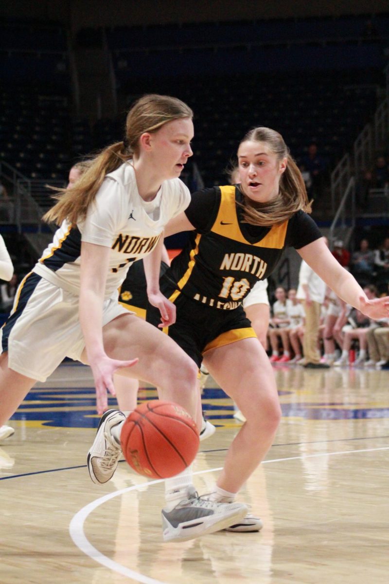 Averi Brozeski drives the baseline in the first half against North Allegheny