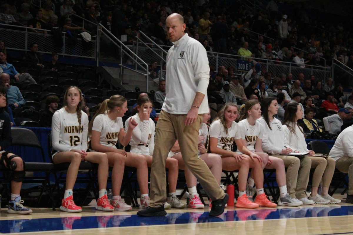 Brian Brozeski became the first Norwin basketball Head Coach to win 3 WPIAL titles (Post-1958) on Friday. 