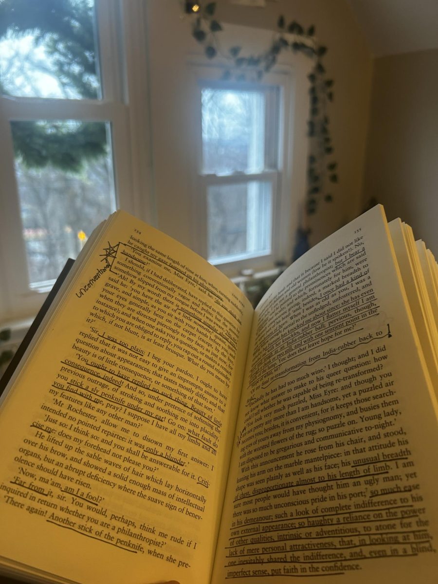 Grace Fleckenstein: Though mundane, Grace finds that taking the time to relax and read a book is one of her favorite things to do during the--sometimes stressful--holiday season. When the weather is cold and frigid, Grace loves to read a comforting book in front of her window, watching the world pass by.  The book certainly does not have to be a "Christmas" book however, it can be a simple romance or mystery, to take a moment to recuperate during the final weeks of school before break. "Taking a moment to find comfort in another world--besides the present--is vital to maintaining a fulfilling (and calm) life."