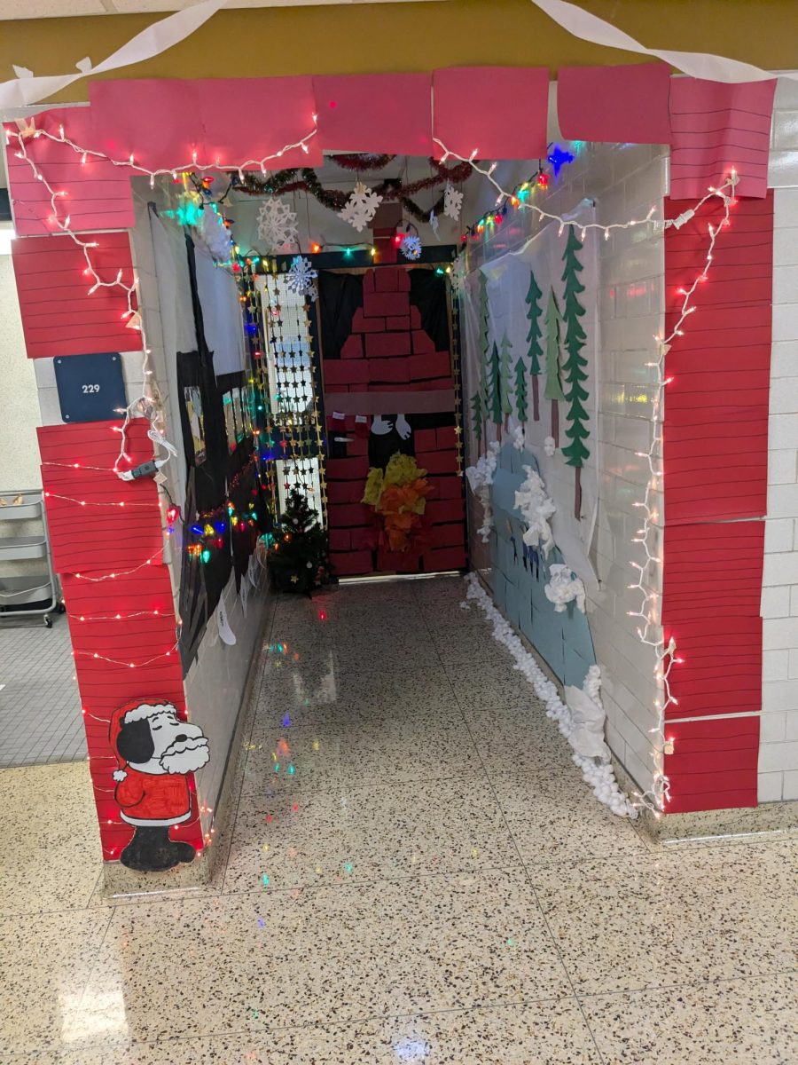 This door had a Snoopy theme with a color scheme of red, white, and green. The hallway leading to the door was also decorated with some lights and paper snowflakes. 