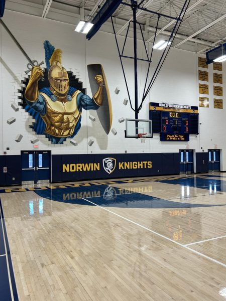 Norwin HS Feature Athletes