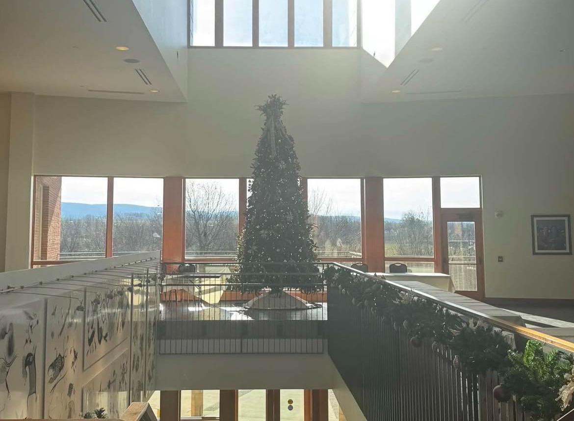 Students observed spectacular views of a Christmas tree from inside St. Vincent College. 