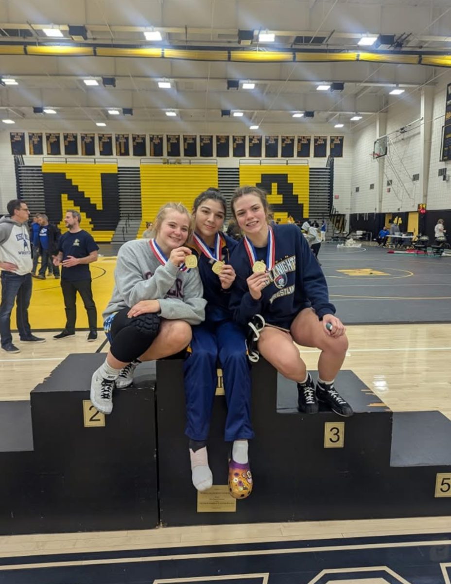 Three Norwin girls wrestlers place first at WPIAL Championships