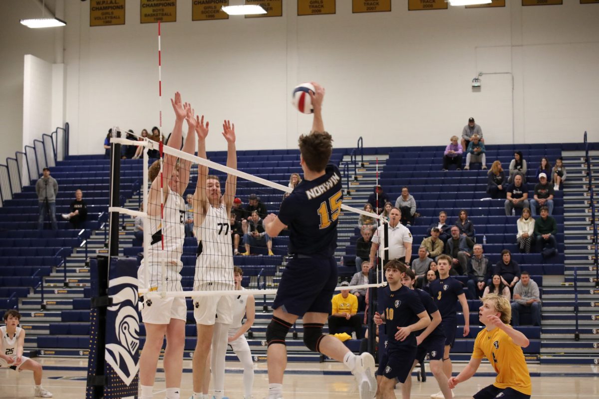 Norwin Boys Volleyball team falls short of the playoffs