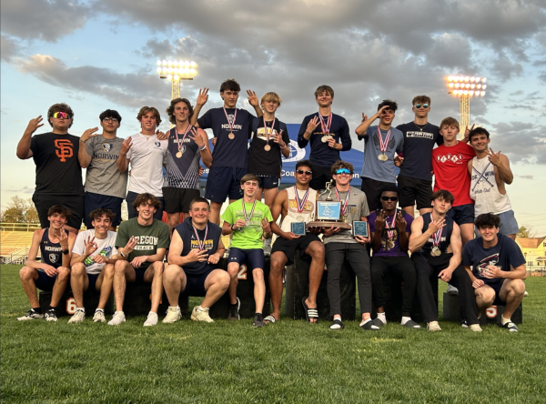 Norwin Boys Track county champions. 