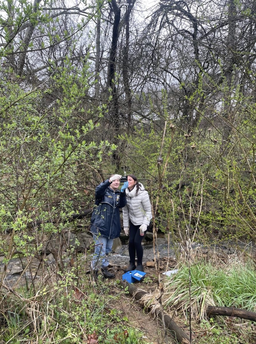 Elaina Felter and Greta Guenzel measure phosphates.