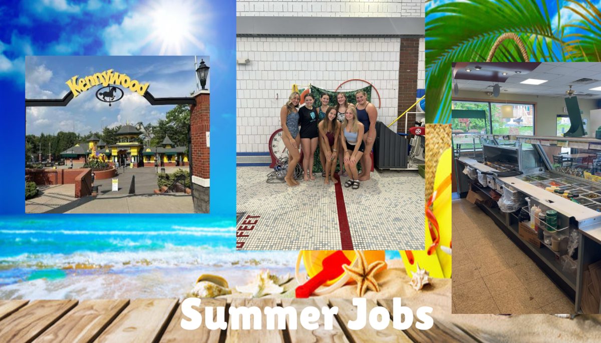 The Summer Jobs of Norwin Students