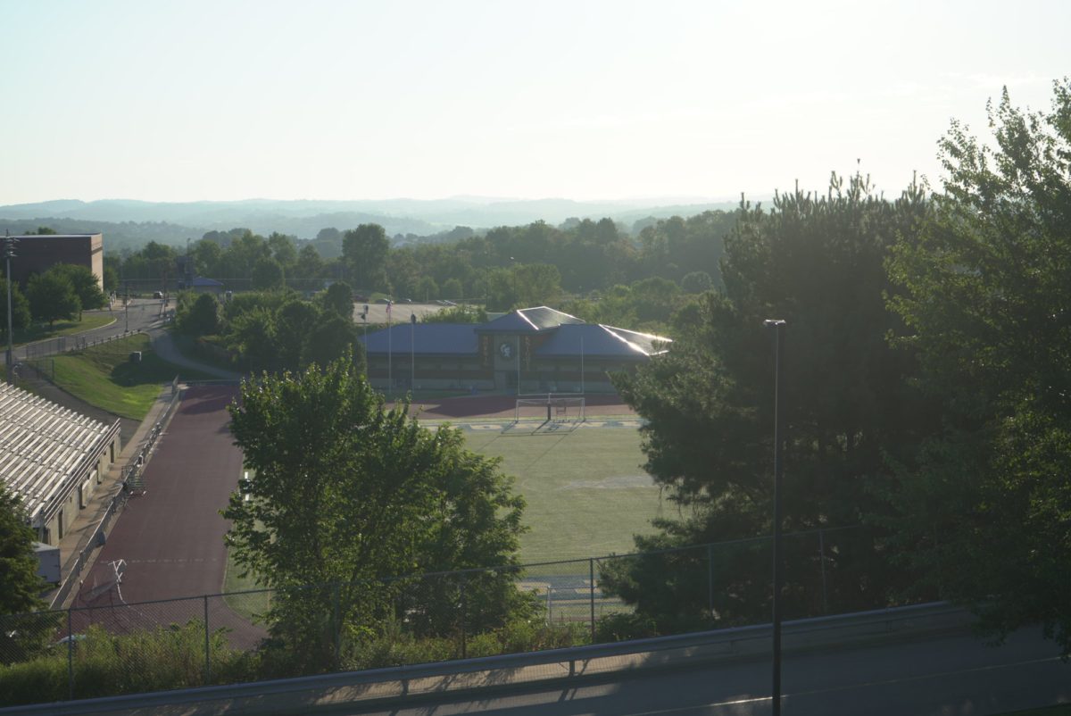 DSC00246