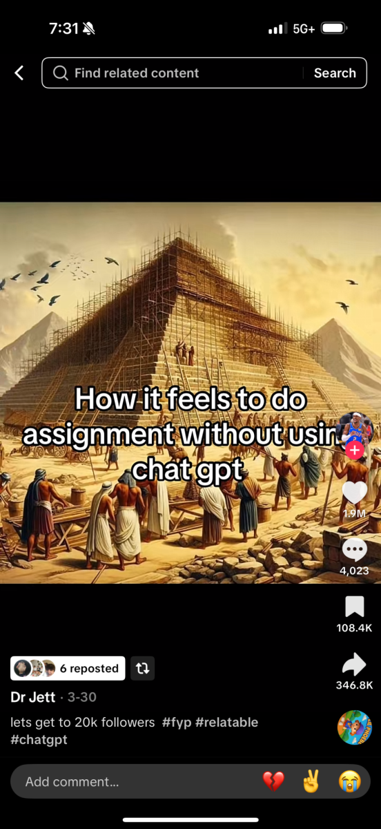 Videos such as these amass millions of likes, making light of a dangerous trend in our society