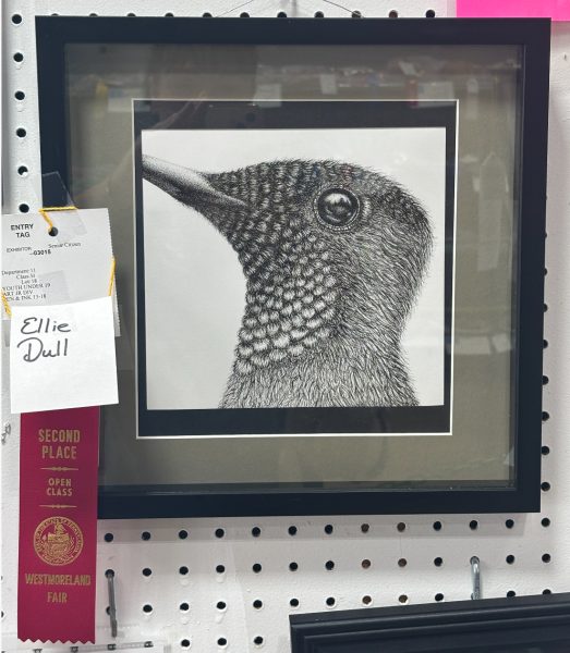 Dull’s pen drawing of a bird