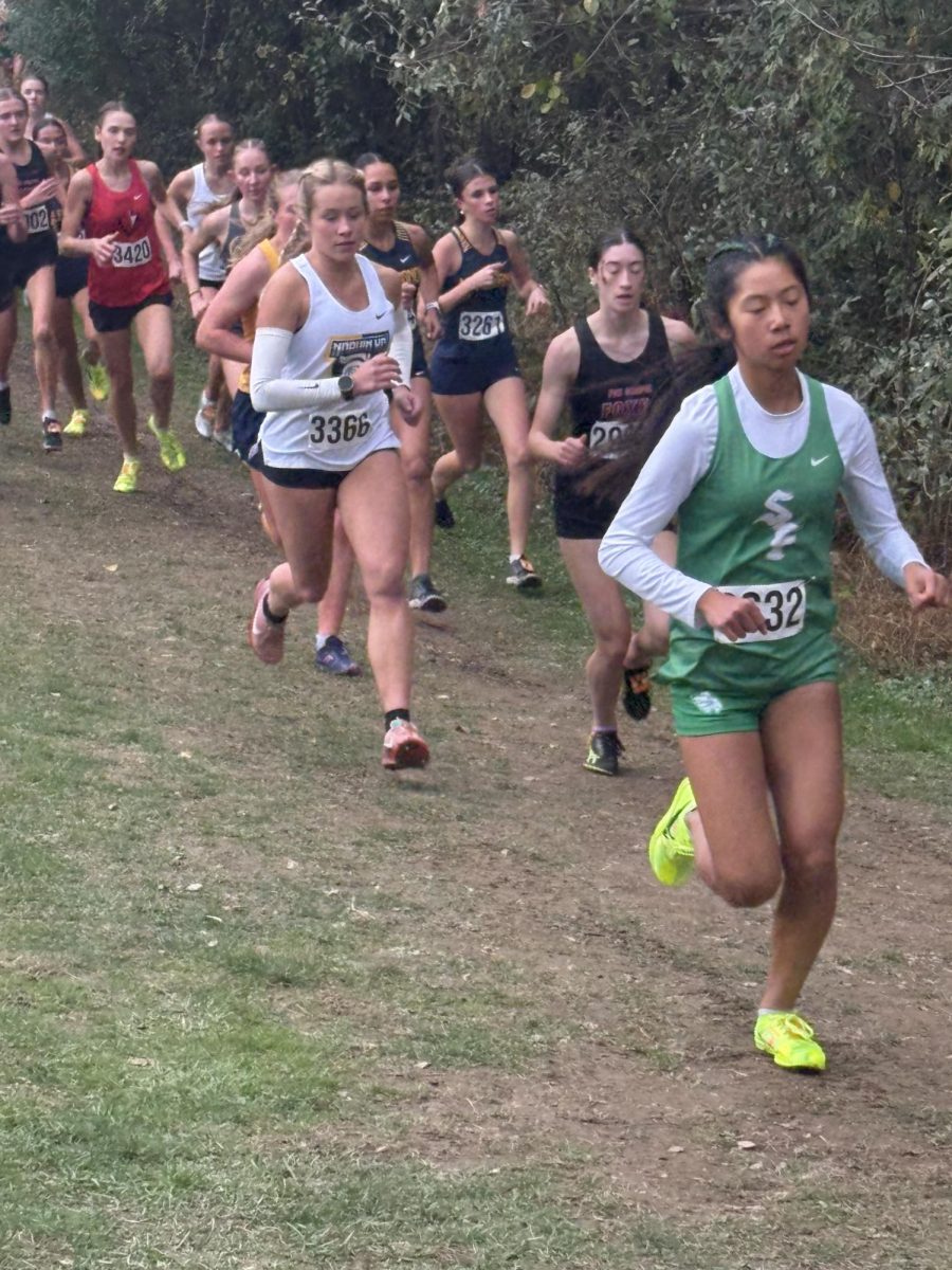 Senior Annie Czajkowski running in WPIAL championship