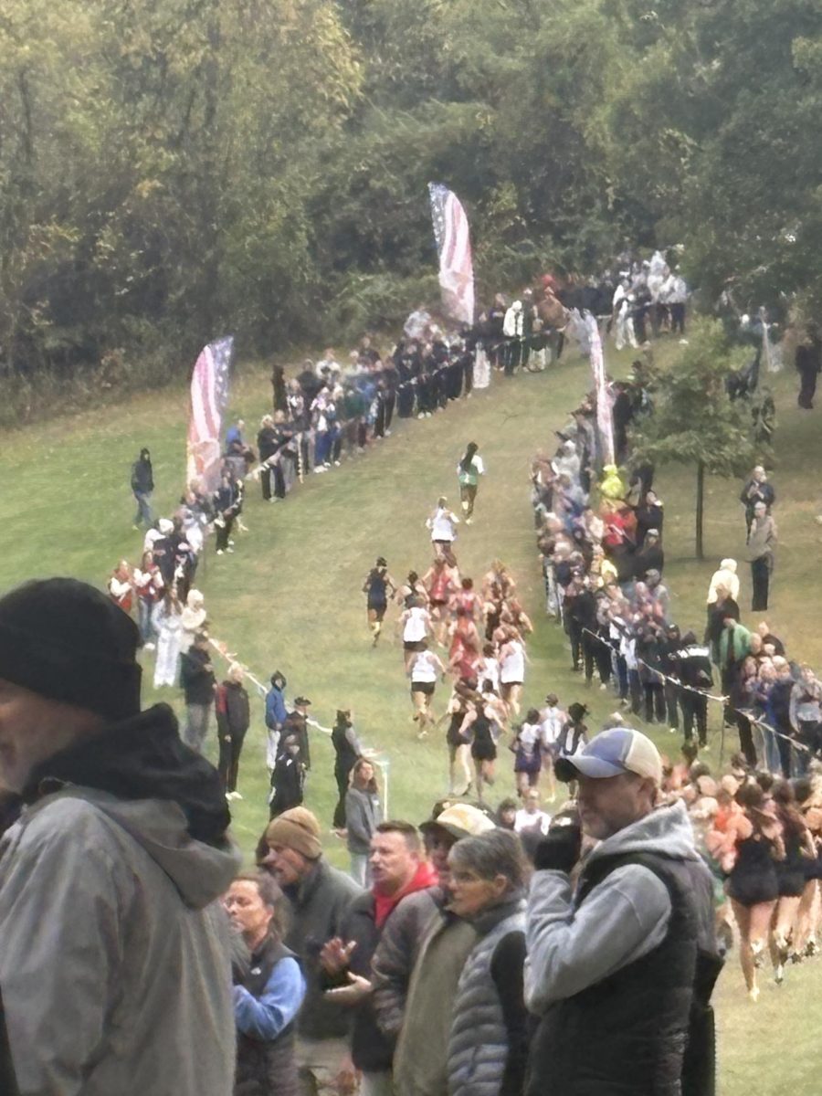 a view from the hill of White Oak Park during the girls race at the WPIAL Championship