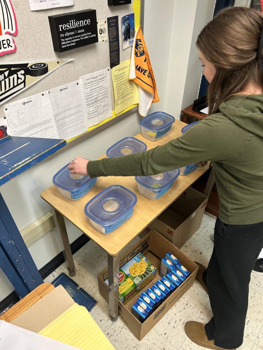 Freshmen Marin Tocco places raffle tickets in baskets in freshmen adviser Mrs. Sweeney's room.