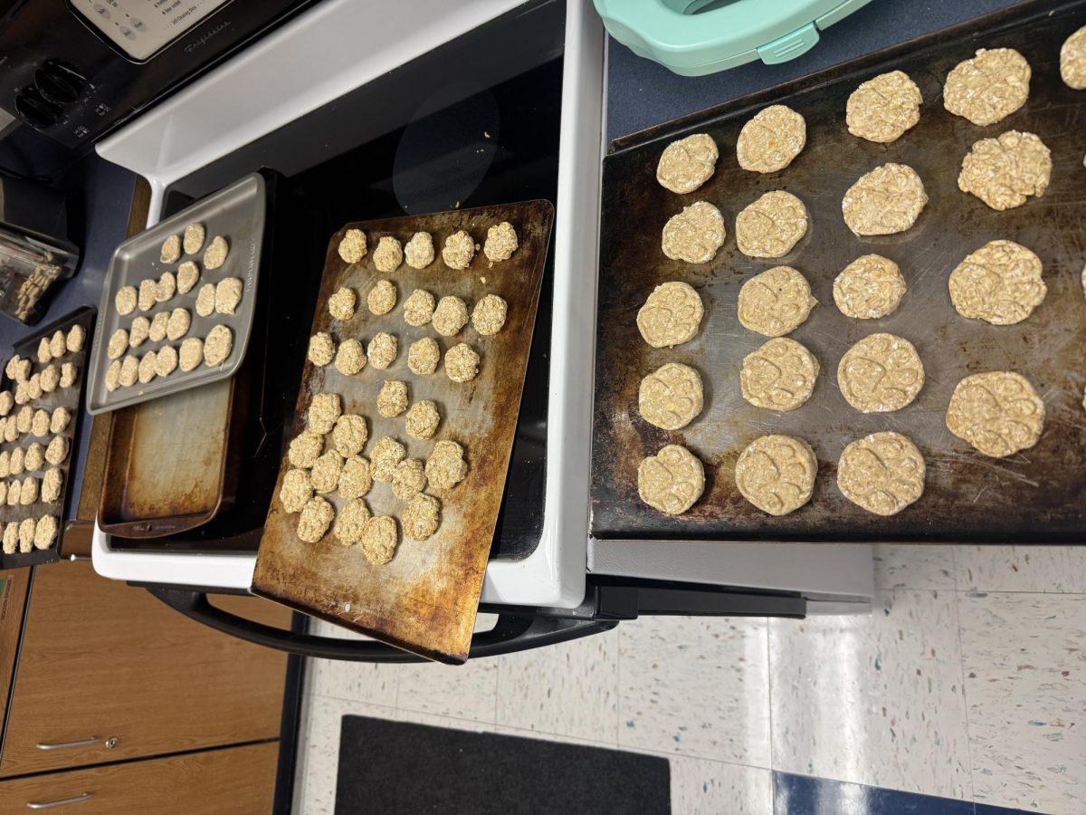 Barkery treats before baking