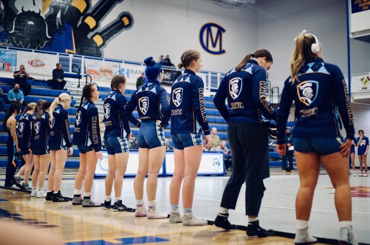 The girls Wrestling team Lined up ready for a match 