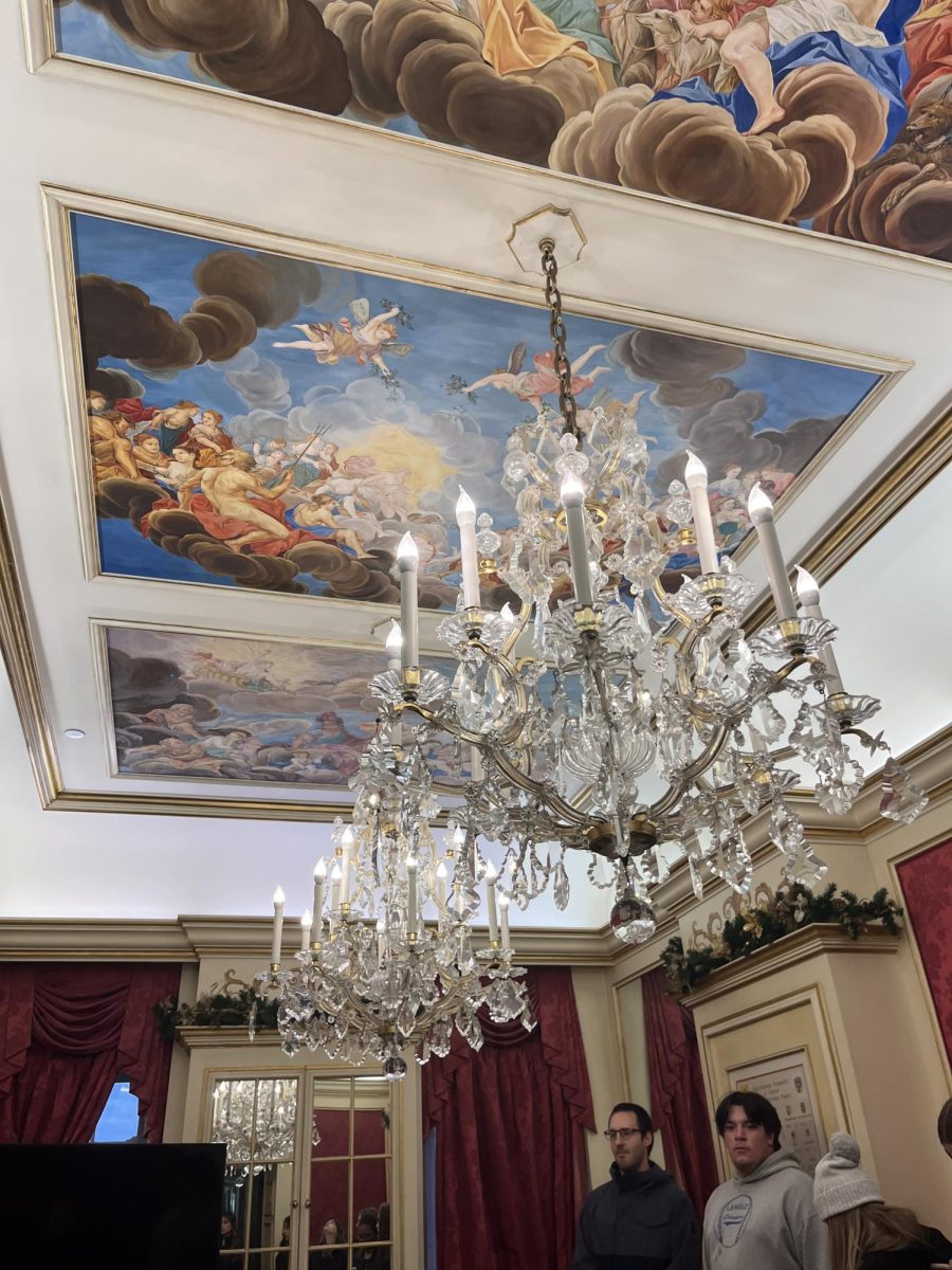 Students look at the Austrian room in awe.