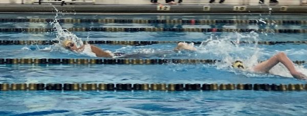 Norwin swim team is gearing up for WPIALs