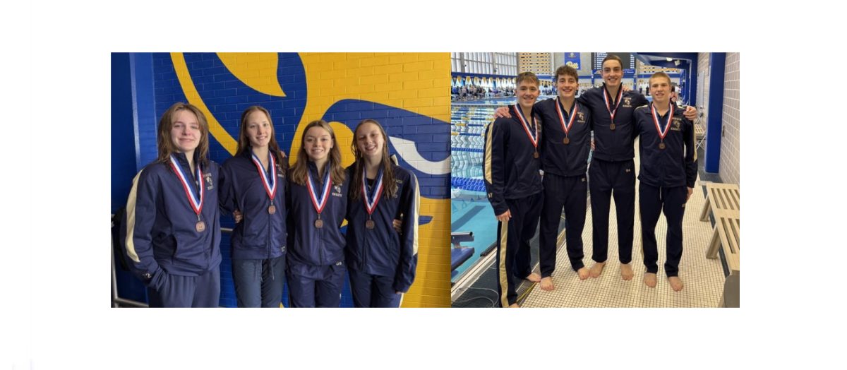 Knights swim to success